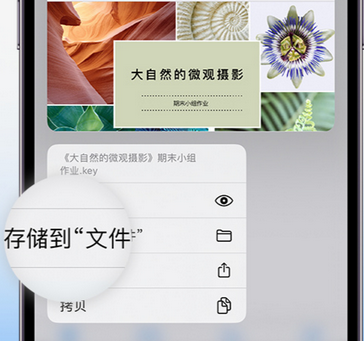 卫滨apple维修中心分享iPhone文件应用中存储和找到下载文件