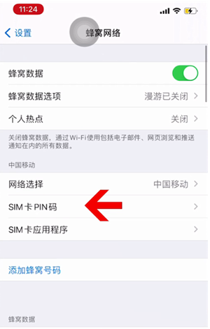 卫滨苹果14维修网分享如何给iPhone14的SIM卡设置密码 