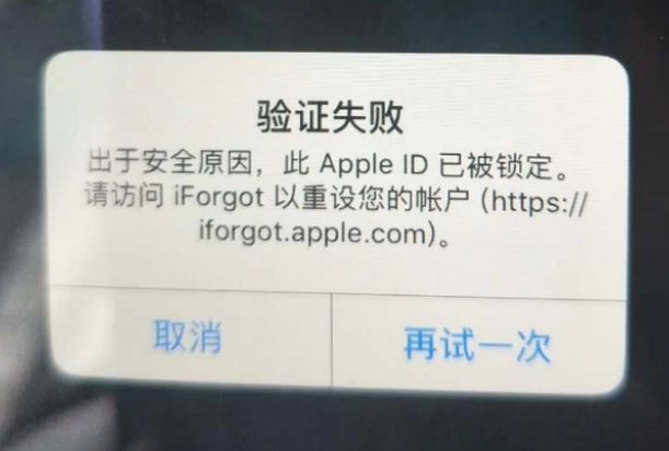 卫滨iPhone维修分享iPhone上正常登录或使用AppleID怎么办 