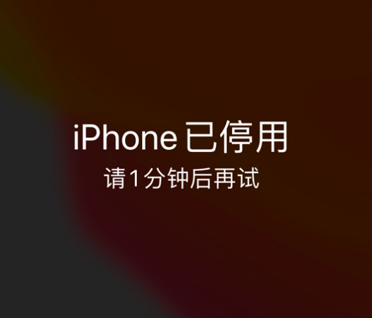 卫滨苹果手机维修分享:iPhone 显示“不可用”或“已停用”怎么办？还能保留数据吗？ 