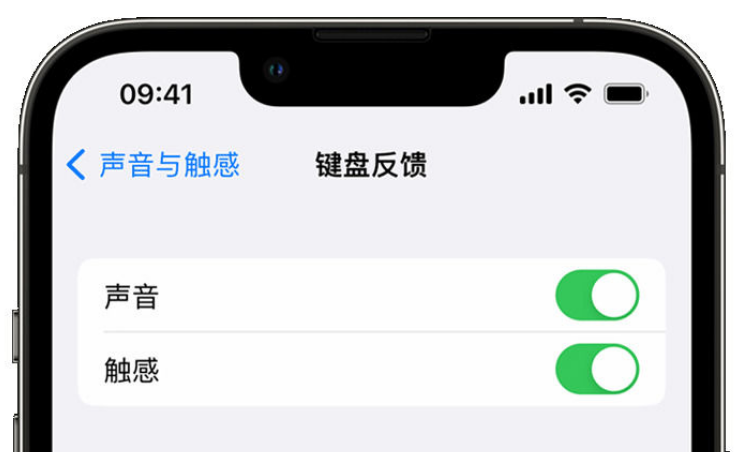 卫滨苹果手机维修分享iPhone 14触感键盘使用方法 