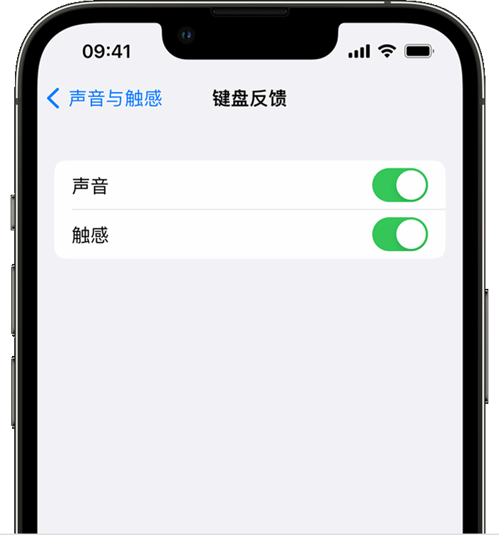 卫滨苹果14维修店分享如何在 iPhone 14 机型中使用触感键盘 