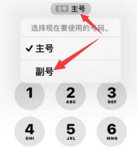 卫滨苹果14维修店分享iPhone 14 Pro Max使用副卡打电话的方法 