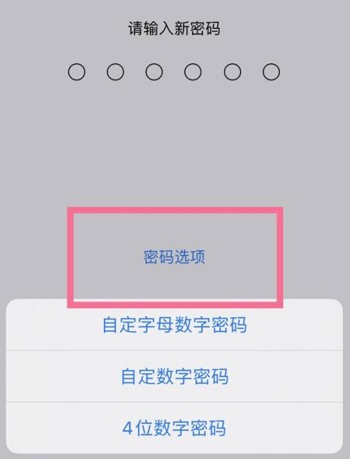 卫滨苹果14维修分享iPhone 14plus设置密码的方法 