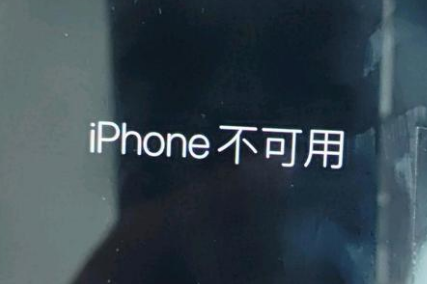 卫滨苹果服务网点分享锁屏界面显示“iPhone 不可用”如何解决 