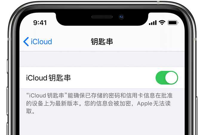 卫滨苹果手机维修分享在 iPhone 上开启 iCloud 钥匙串之后会储存哪些信息 