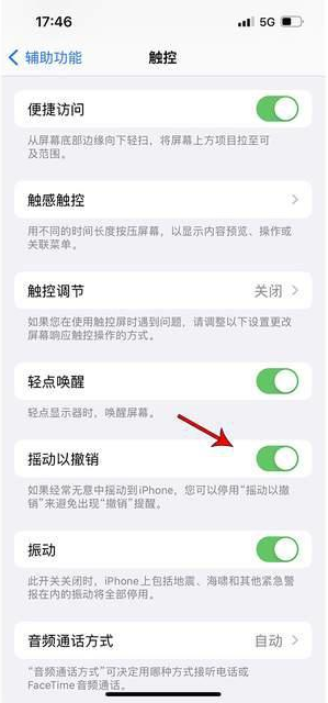 卫滨苹果手机维修分享iPhone手机如何设置摇一摇删除文字 