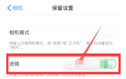卫滨苹果13维修分享iPhone13拍照有绿点是怎么回事 
