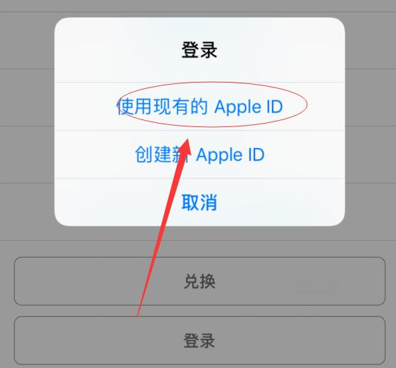 卫滨苹果手机维修分享两台iPhone设备可以同时登录一个Apple ID吗 