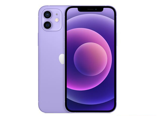 卫滨苹果手机维修分享现阶段要不要入手紫色版iPhone12 