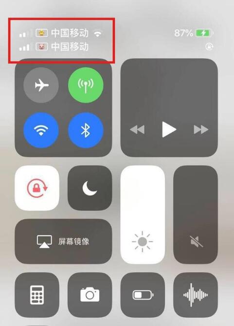 卫滨苹果手机维修分享为 iPhone 12 双卡设置标签 